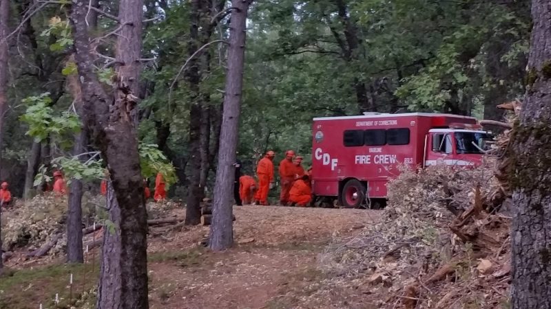 Cal Fire Crew